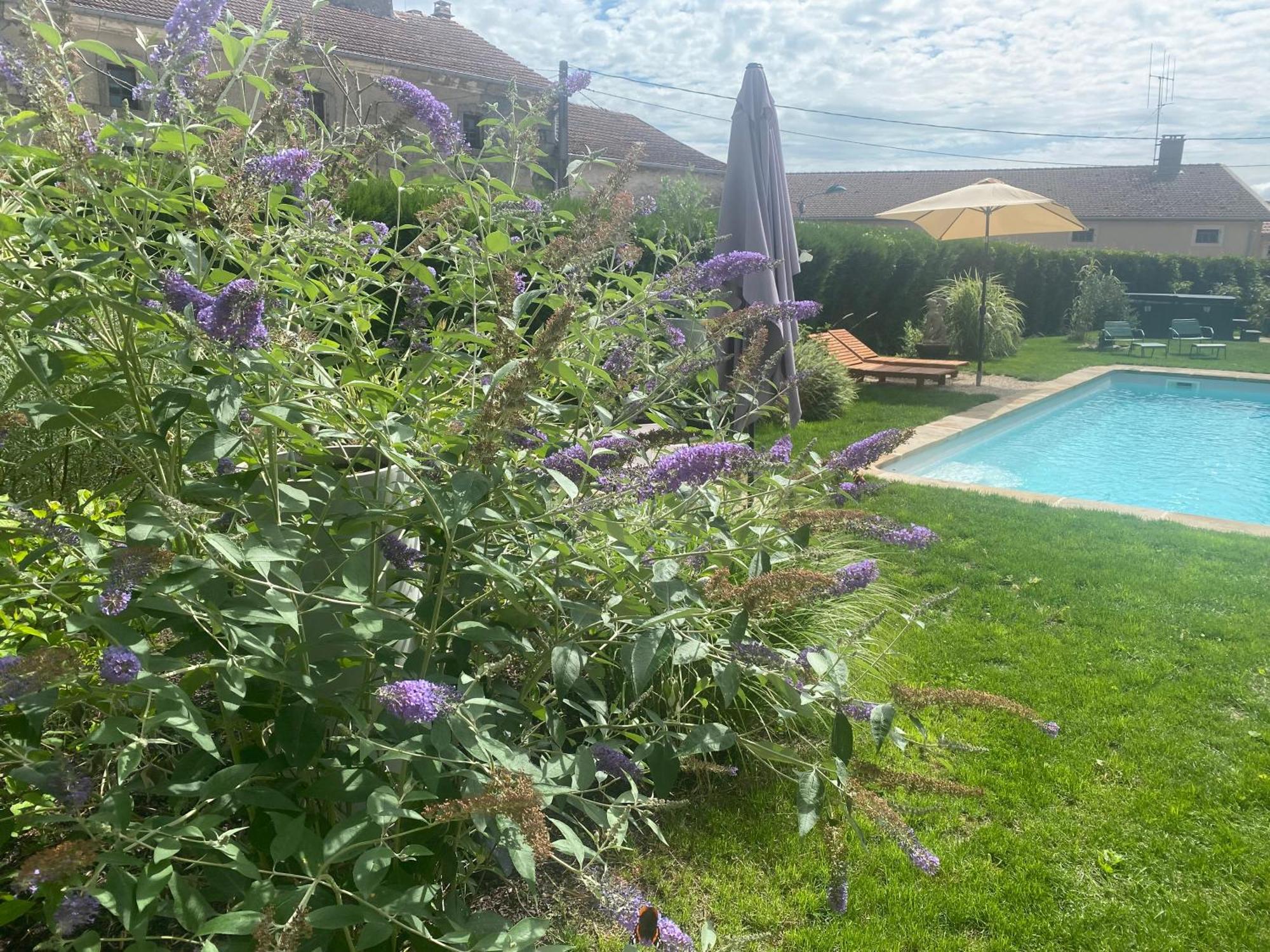 Le Chateau De Monthureux Le Sec Εξωτερικό φωτογραφία